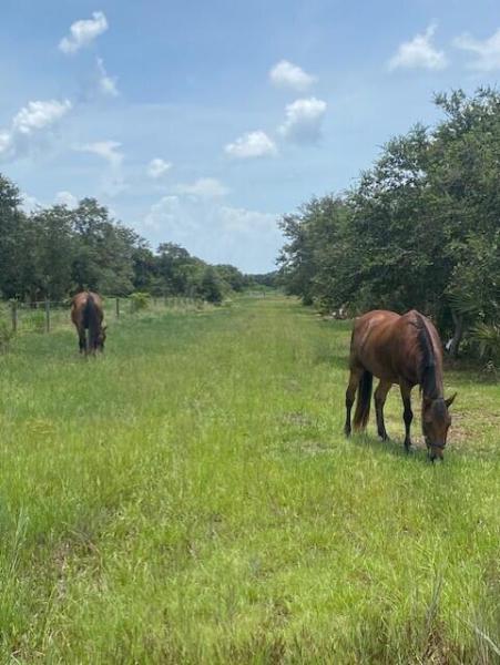  Commercial & Industrial Land Images 