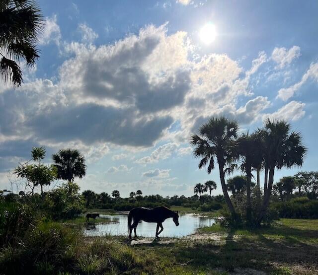  Commercial & Industrial Land Images 