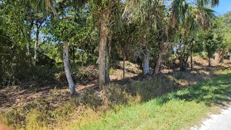  Commercial & Industrial Land Images 