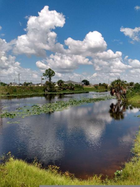 Duplex, Triplex and Fourplex Images