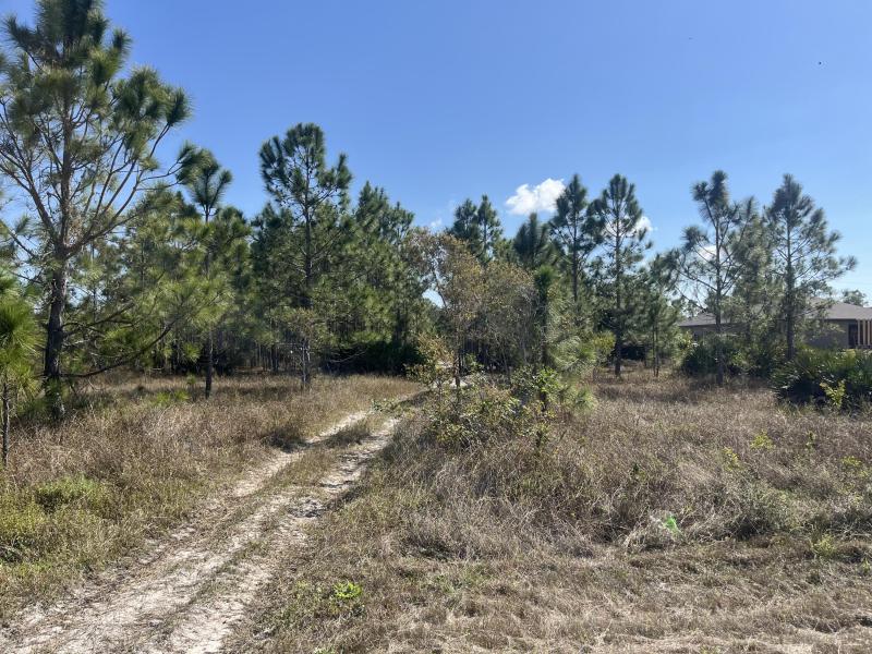 Duplex, Triplex and Fourplex Images