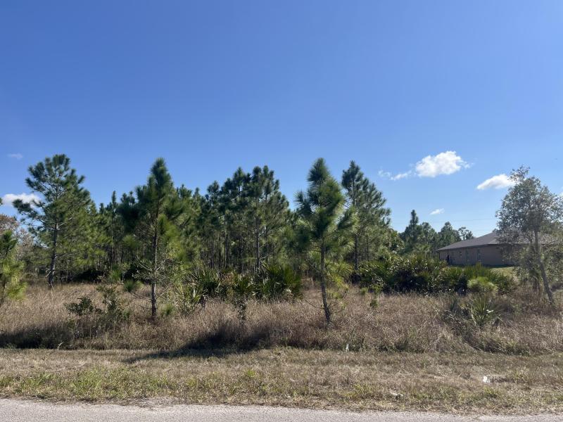 Duplex, Triplex and Fourplex Images