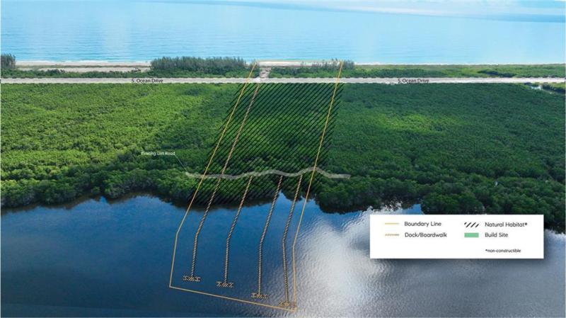 Duplex, Triplex and Fourplex Images