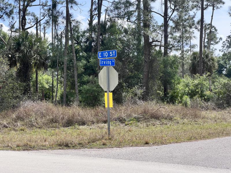 Duplex, Triplex and Fourplex Images