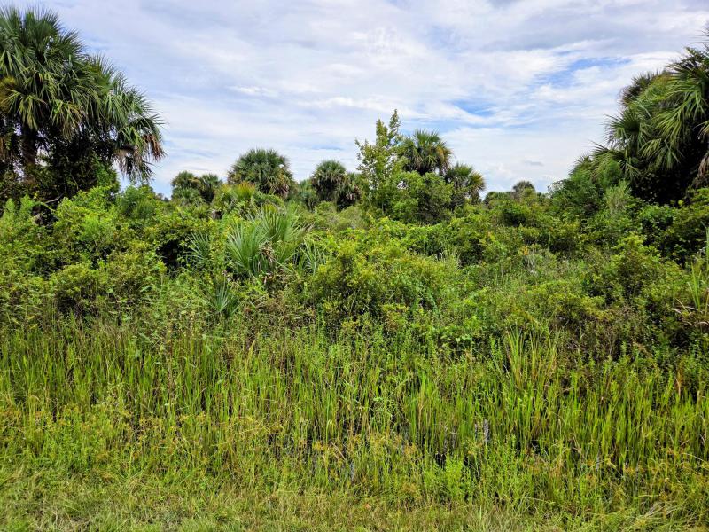  Commercial & Industrial Land Images 