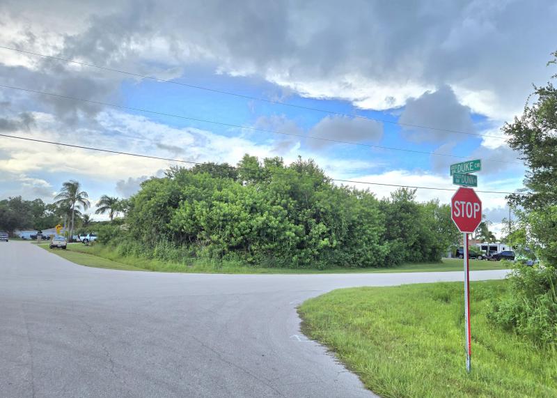 Duplex, Triplex and Fourplex Images