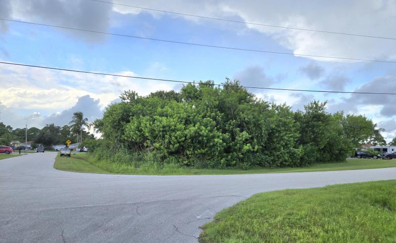 Duplex, Triplex and Fourplex Images