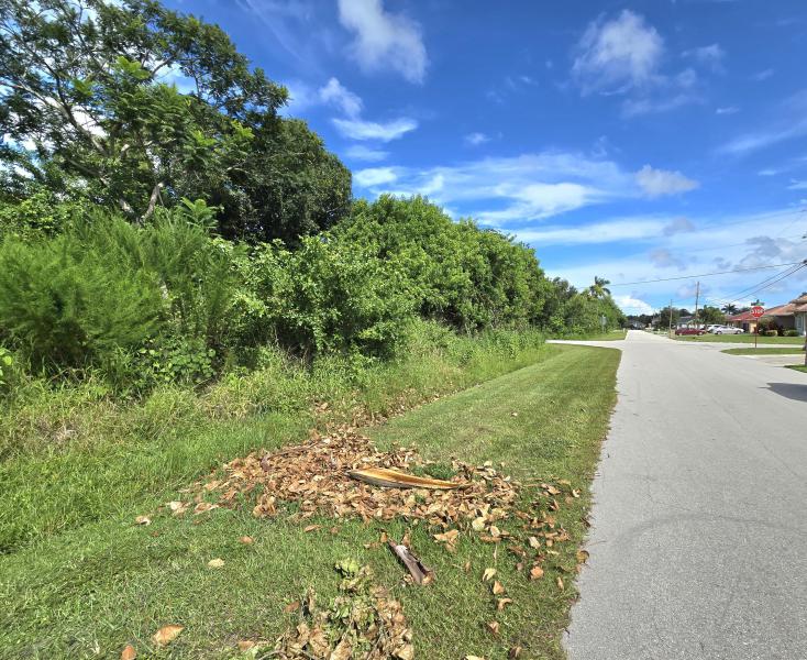 Duplex, Triplex and Fourplex Images