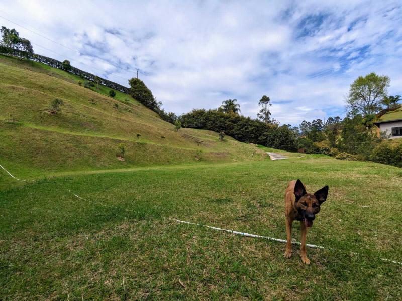 Duplex, Triplex and Fourplex Images