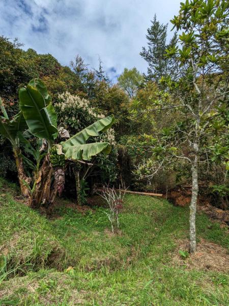 Duplex, Triplex and Fourplex Images