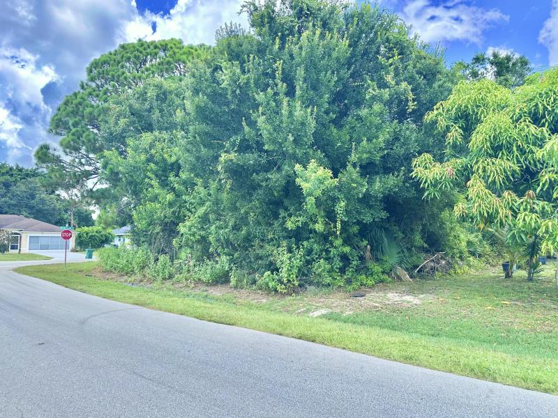 Duplex, Triplex and Fourplex Images