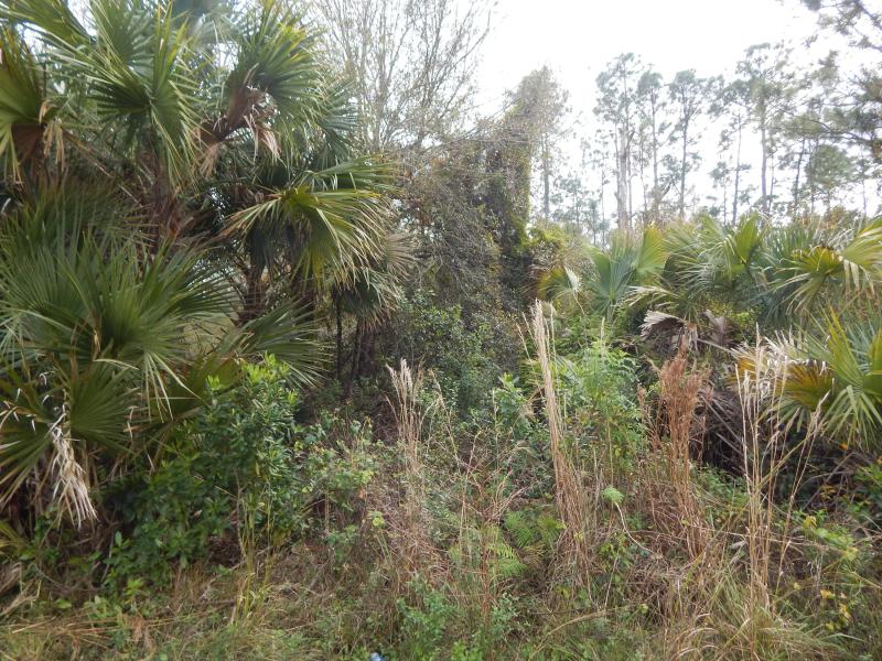 Duplex, Triplex and Fourplex Images