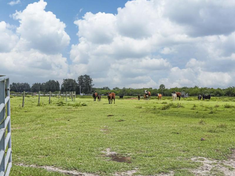  Commercial & Industrial Land Images 