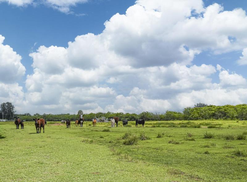  Commercial & Industrial Land Images 