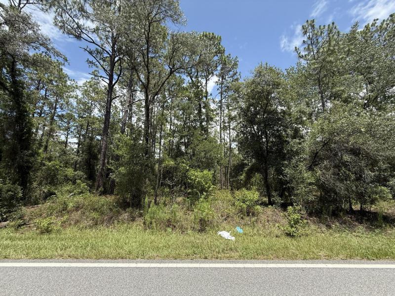 Duplex, Triplex and Fourplex Images