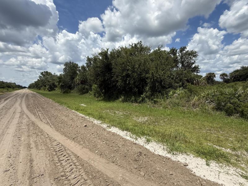 Duplex, Triplex and Fourplex Images