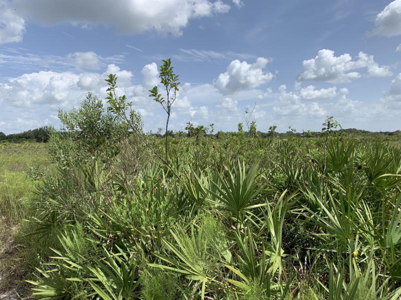  Commercial & Industrial Land Images 