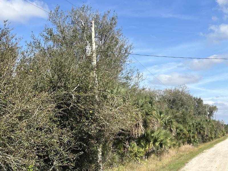 Duplex, Triplex and Fourplex Images