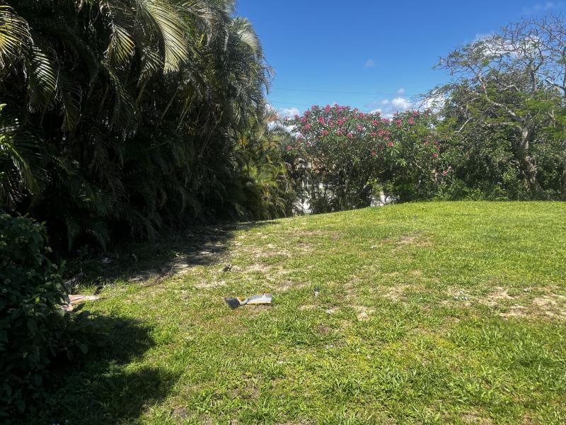 Duplex, Triplex and Fourplex Images