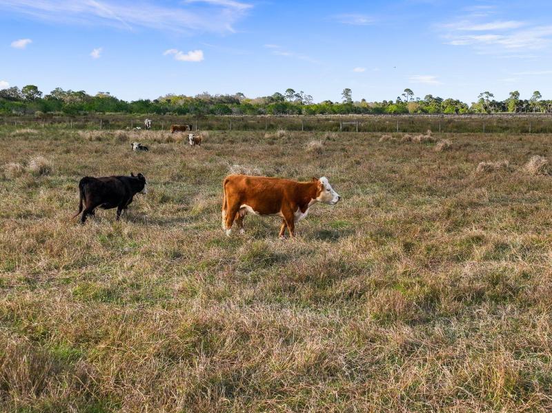  Commercial & Industrial Land Images 