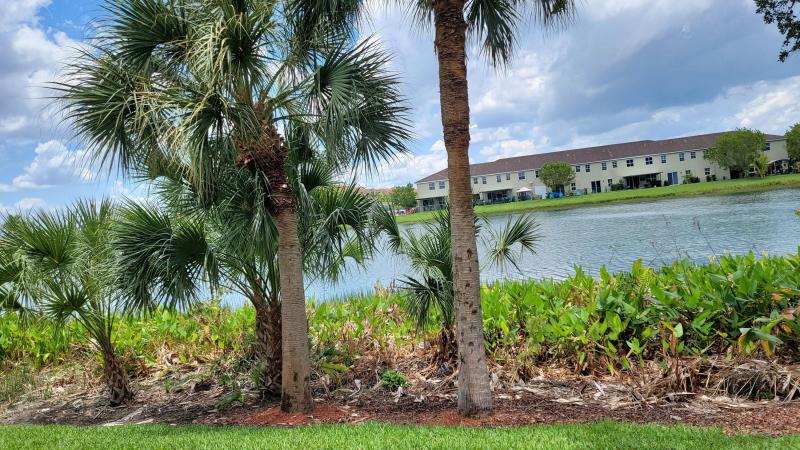  Condo & Townhome Photos