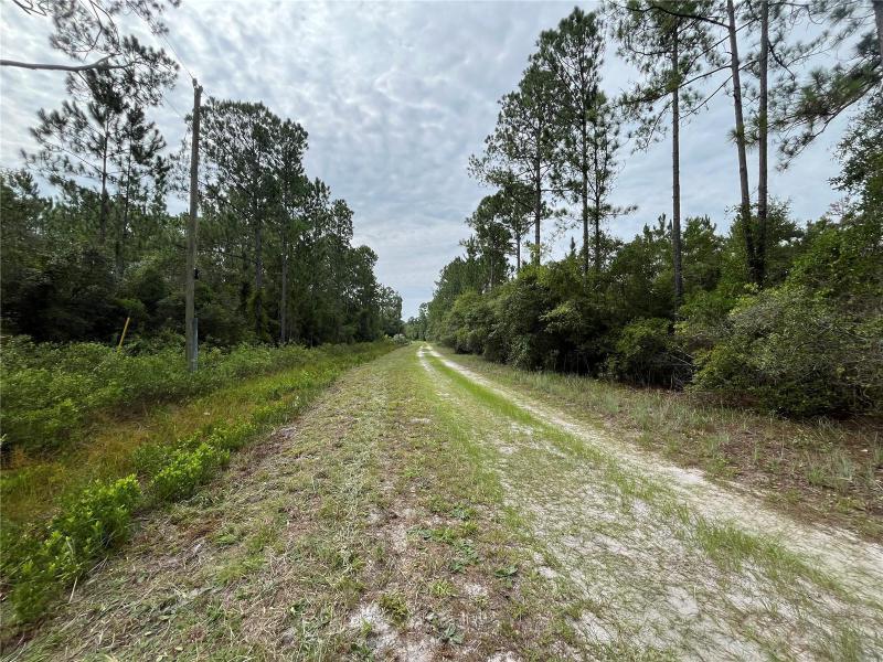 Duplex, Triplex and Fourplex Images