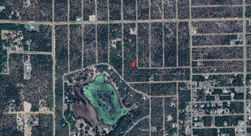 Duplex, Triplex and Fourplex Images