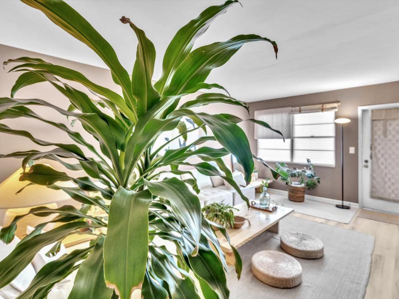  Condo & Townhome Photos