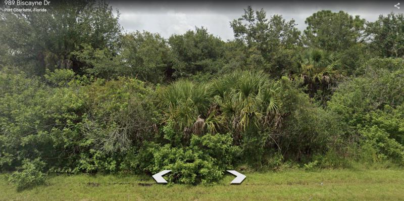 Duplex, Triplex and Fourplex Images