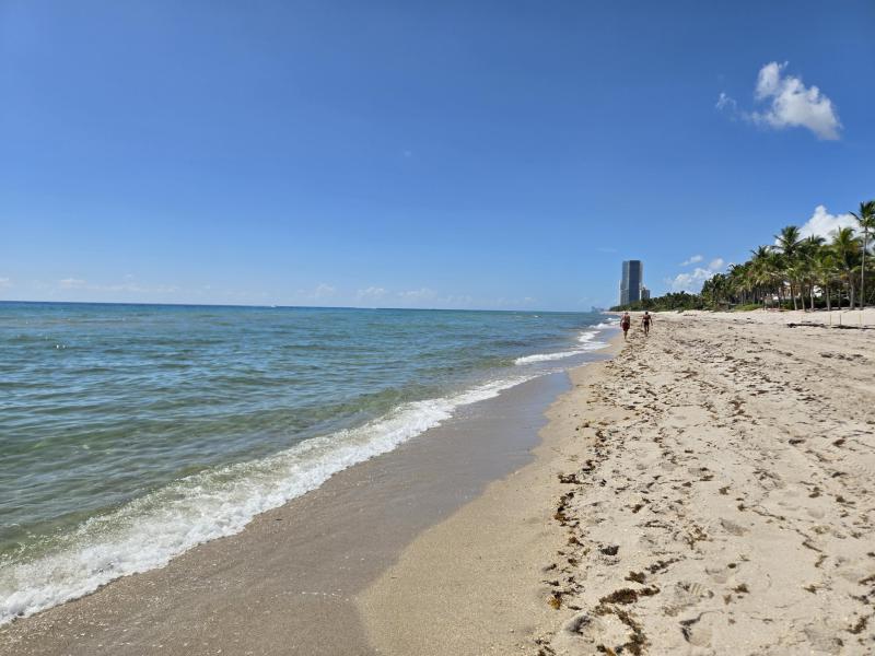  Single Family Homes Photo 12:  Golden Beach,  FL 33160