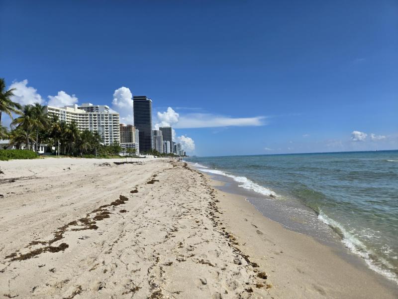  Single Family Homes Photo 13:  Golden Beach,  FL 33160