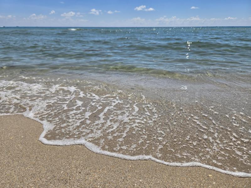  Single Family Homes Photo 15:  Golden Beach,  FL 33160