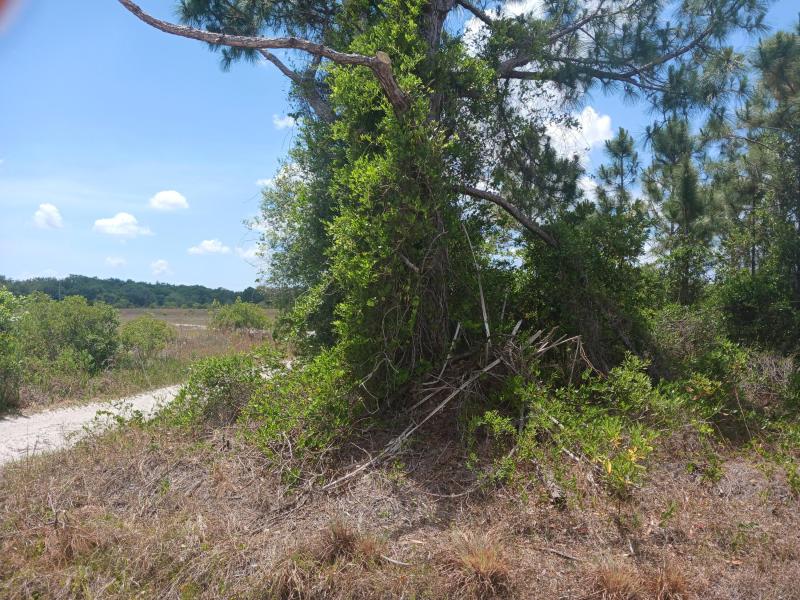  Commercial & Industrial Land Images 