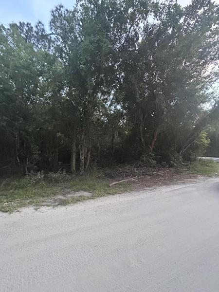 Duplex, Triplex and Fourplex Images