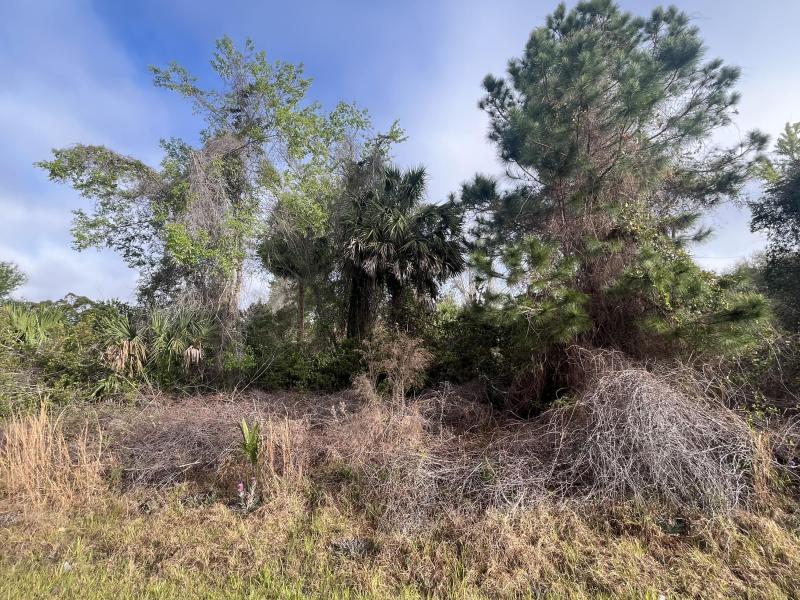 Duplex, Triplex and Fourplex Images