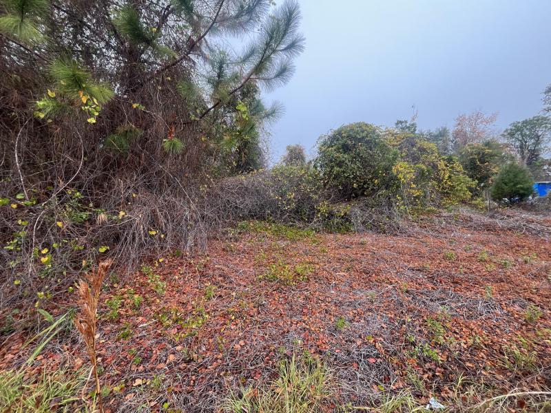 Duplex, Triplex and Fourplex Images