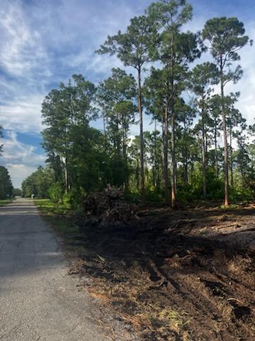 Duplex, Triplex and Fourplex Images