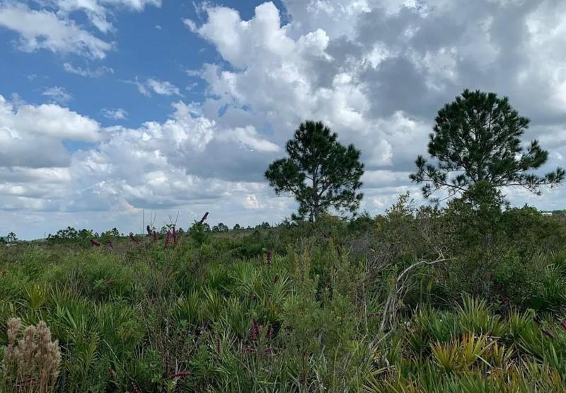  Commercial & Industrial Land Images 