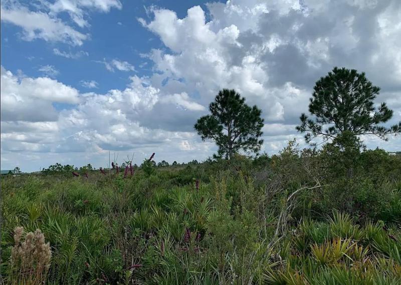  Commercial & Industrial Land Images 