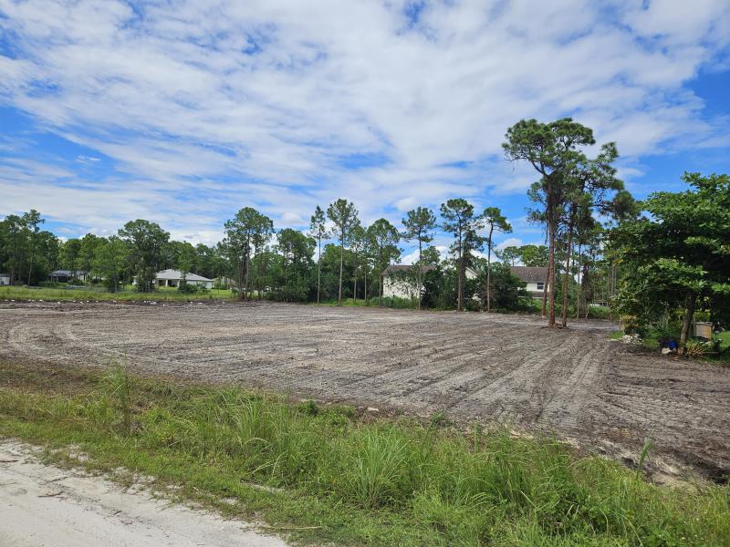 Duplex, Triplex and Fourplex Images