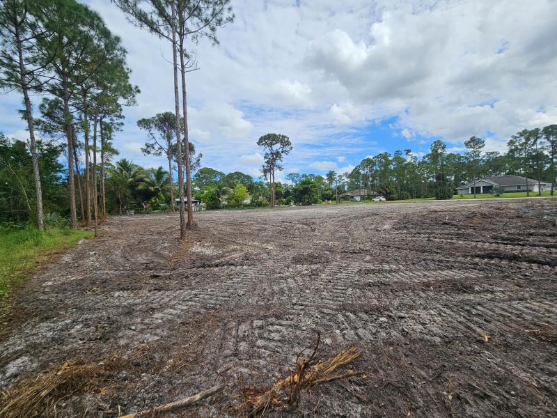 Duplex, Triplex and Fourplex Images