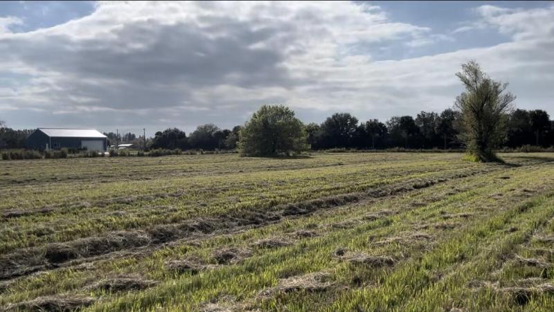 Duplex, Triplex and Fourplex Images