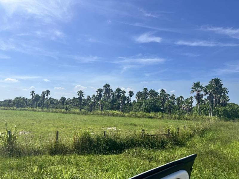 Duplex, Triplex and Fourplex Images