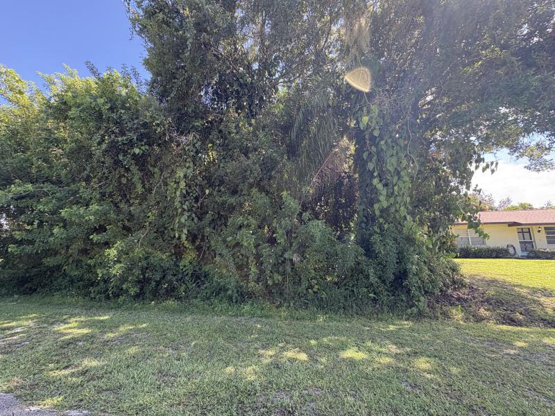 Duplex, Triplex and Fourplex Images