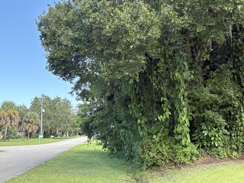 Duplex, Triplex and Fourplex Images