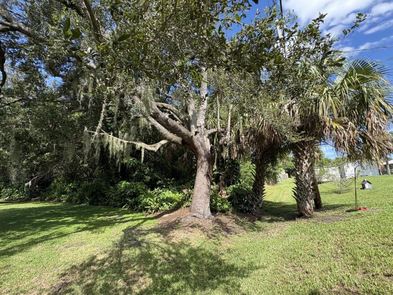 Duplex, Triplex and Fourplex Images