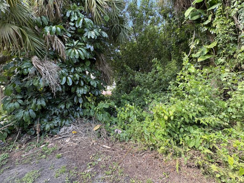 Duplex, Triplex and Fourplex Images