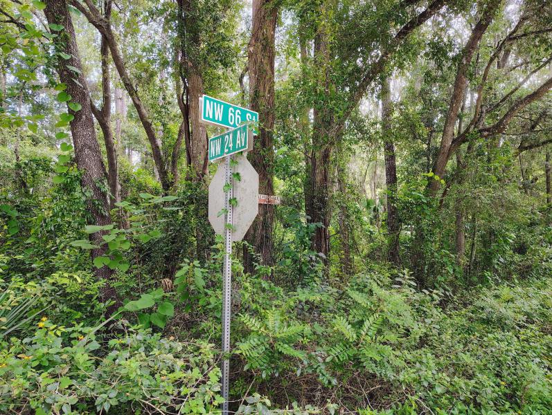 Duplex, Triplex and Fourplex Images