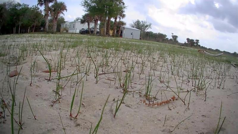 Duplex, Triplex and Fourplex Images