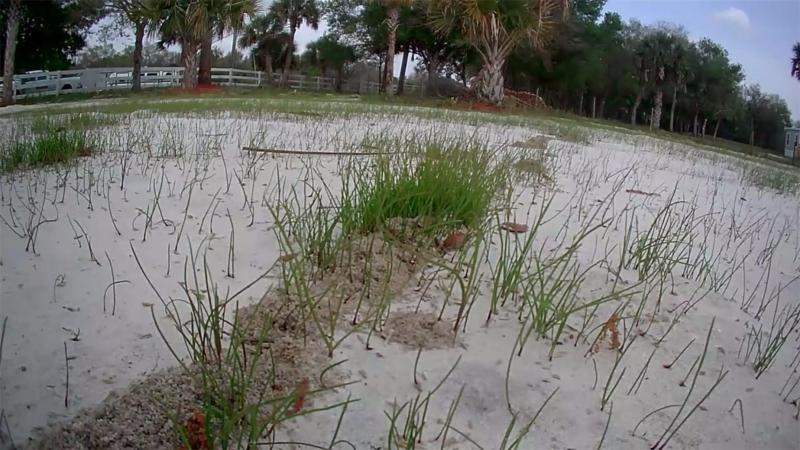 Duplex, Triplex and Fourplex Images